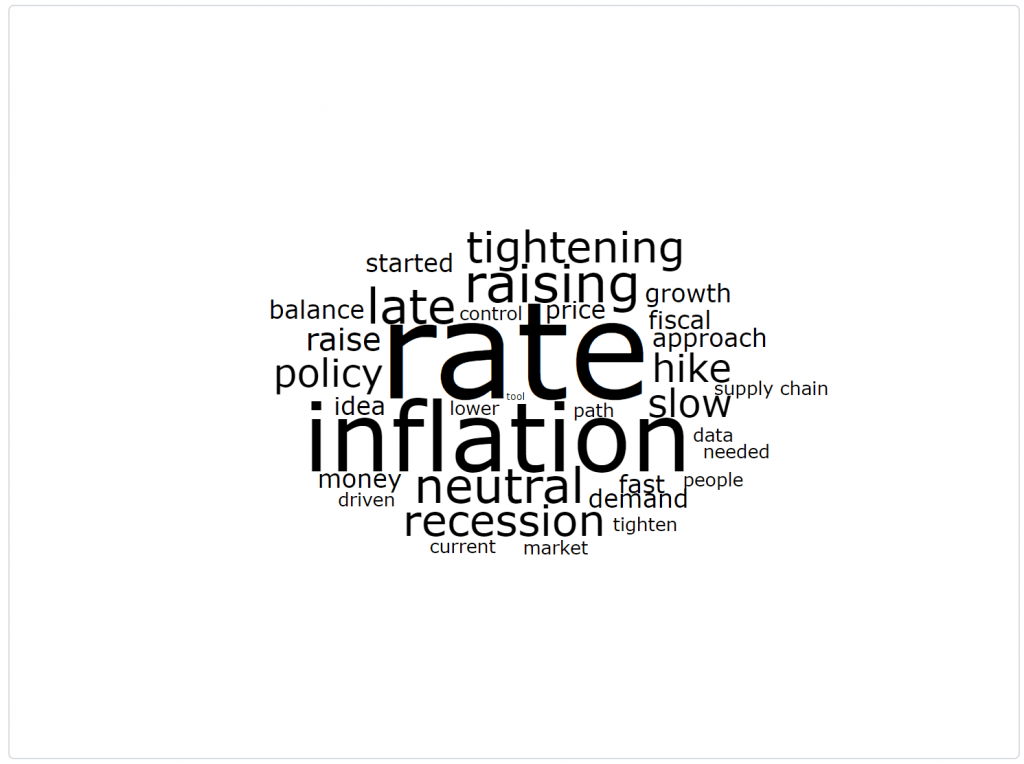 Fed Survey Question Cloud